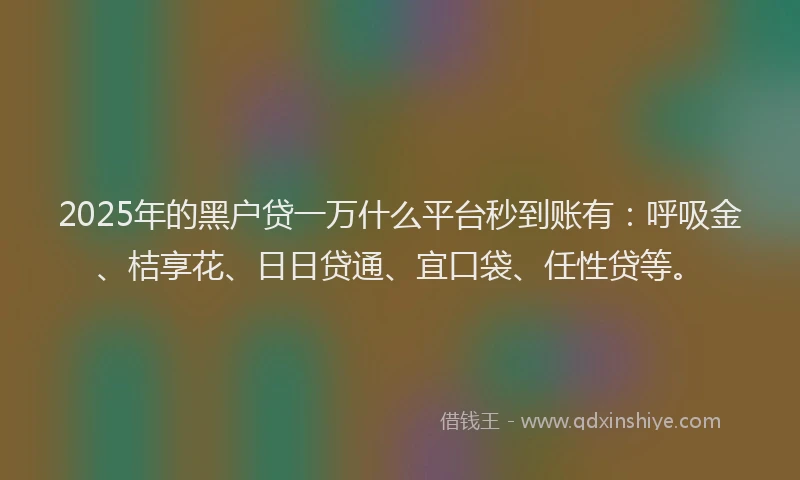 2025年的黑户贷一万什么平台秒到账有：呼吸金、桔享花、日日贷通、宜口袋、任性贷等。