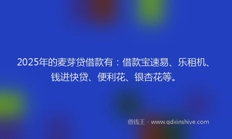 2025年的麦芽贷借款有：借款宝速易、乐租机、钱进快贷、便利花、银杏花等。