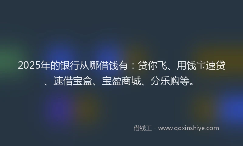2025年的银行从哪借钱有：贷你飞、用钱宝速贷、速借宝盒、宝盈商城、分乐购等。