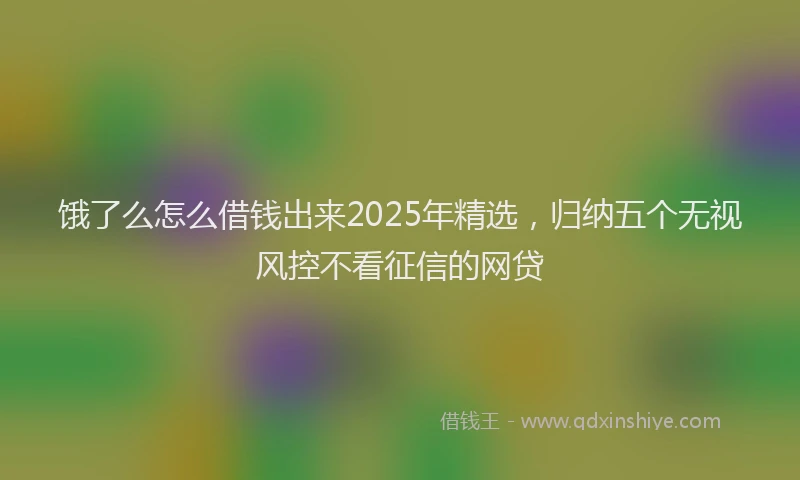 饿了么怎么借钱出来2025年精选，归纳五个无视风控不看征信的网贷
