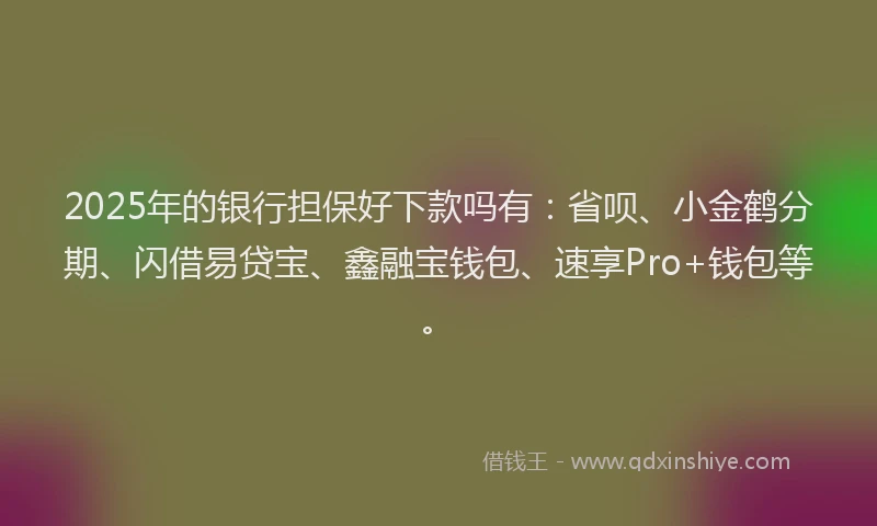2025年的银行担保好下款吗有：省呗、小金鹤分期、闪借易贷宝、鑫融宝钱包、速享Pro+钱包等。