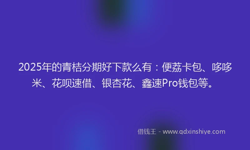 2025年的青桔分期好下款么有：便荔卡包、哆哆米、花呗速借、银杏花、鑫速Pro钱包等。