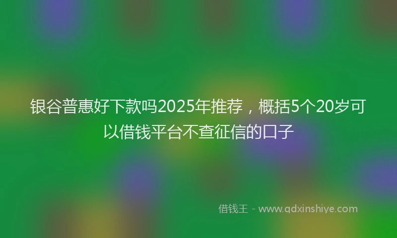 银谷普惠好下款吗2025年推荐，概括5个20岁可以借钱平台不查征信的口子