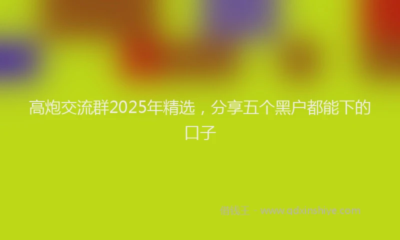 高炮交流群2025年精选，分享五个黑户都能下的口子