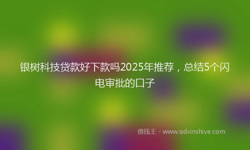 银树科技贷款好下款吗2025年推荐，总结5个闪电审批的口子