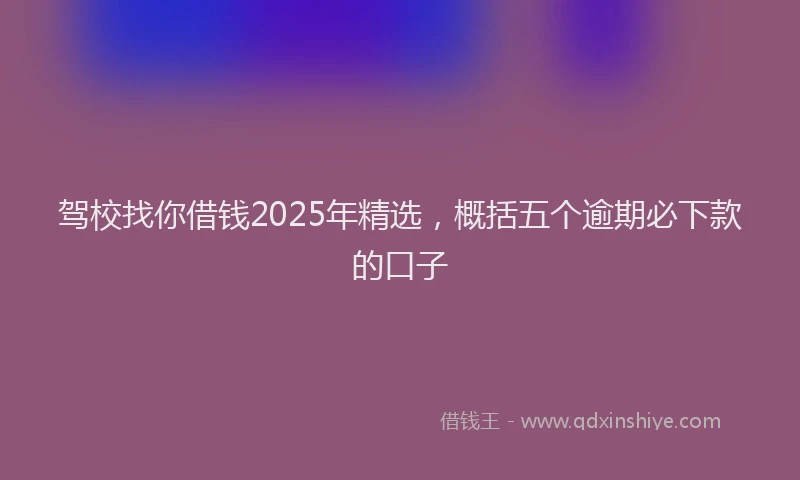 驾校找你借钱2025年精选，概括五个逾期必下款的口子