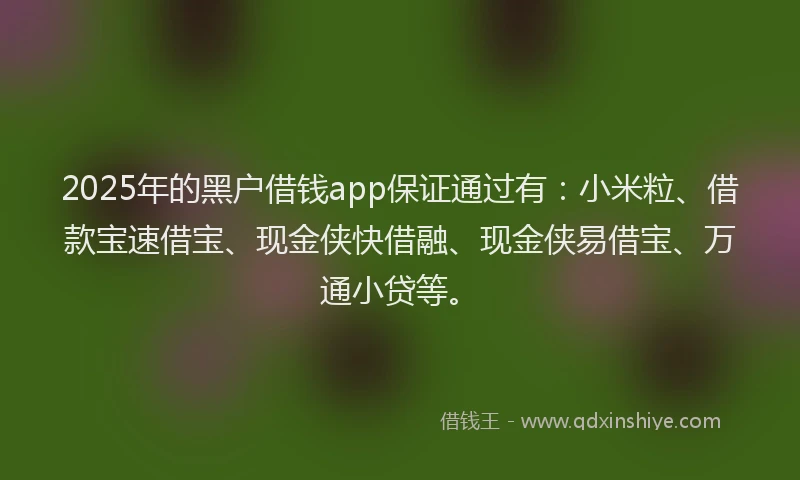 2025年的黑户借钱app保证通过有：小米粒、借款宝速借宝、现金侠快借融、现金侠易借宝、万通小贷等。