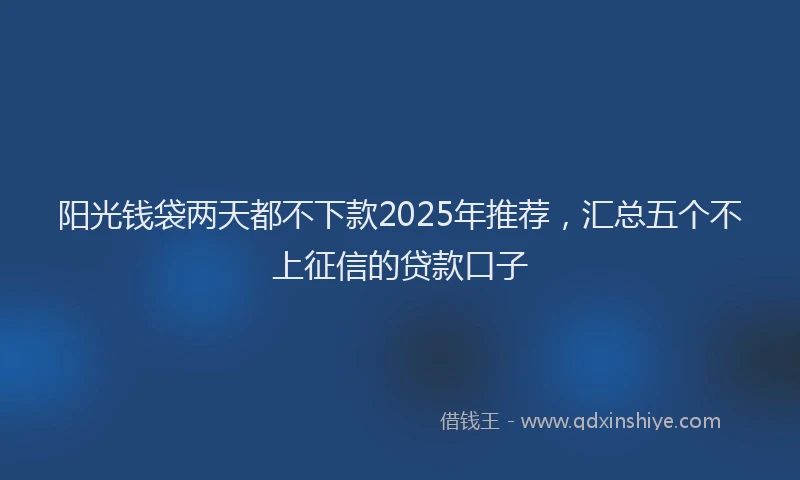 阳光钱袋两天都不下款2025年推荐，汇总五个不上征信的贷款口子
