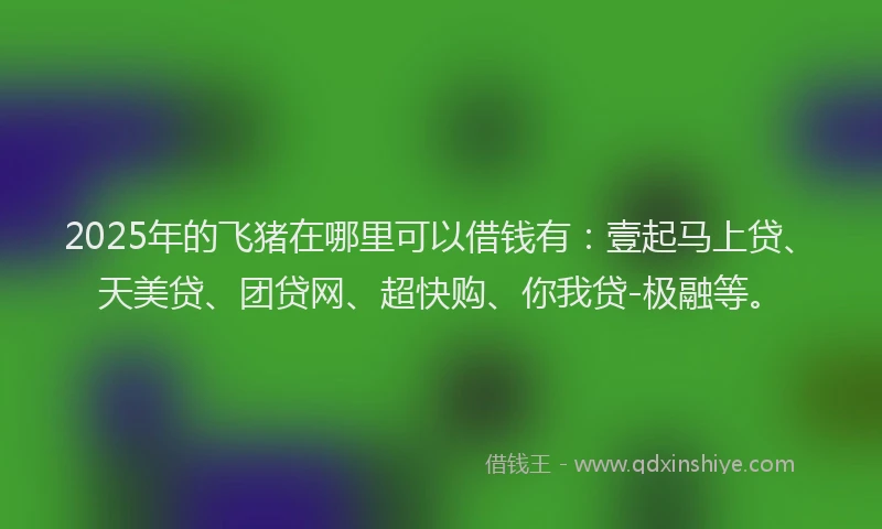 2025年的飞猪在哪里可以借钱有：壹起马上贷、天美贷、团贷网、超快购、你我贷-极融等。