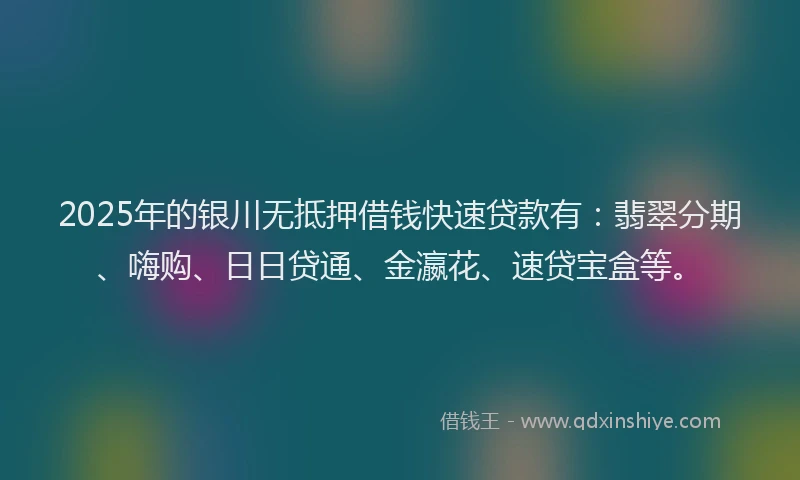 2025年的银川无抵押借钱快速贷款有：翡翠分期、嗨购、日日贷通、金瀛花、速贷宝盒等。