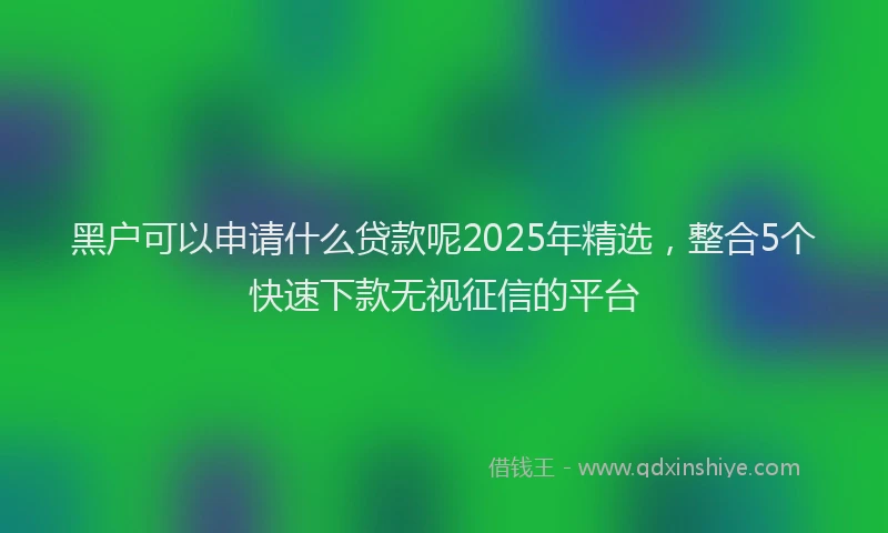 黑户可以申请什么贷款呢2025年精选，整合5个快速下款无视征信的平台