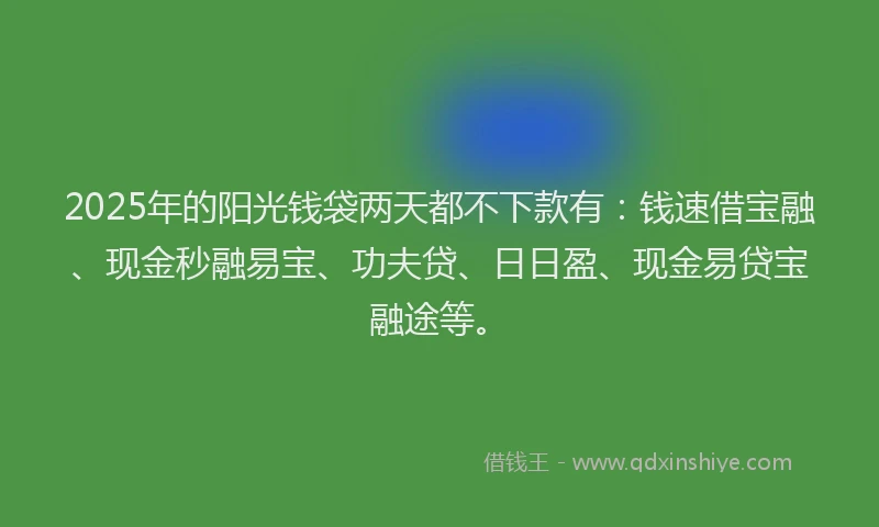 2025年的阳光钱袋两天都不下款有：钱速借宝融、现金秒融易宝、功夫贷、日日盈、现金易贷宝融途等。