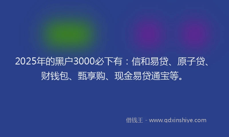2025年的黑户3000必下有：信和易贷、原子贷、财钱包、甄享购、现金易贷通宝等。