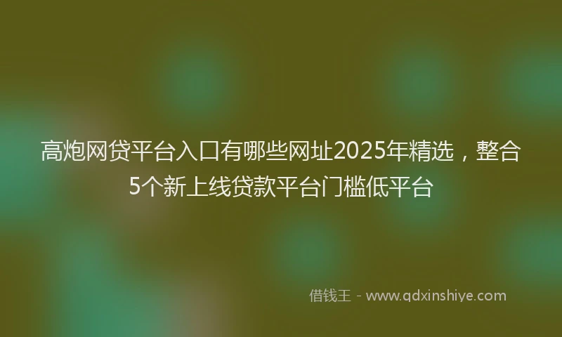 高炮网贷平台入口有哪些网址2025年精选，整合5个新上线贷款平台门槛低平台