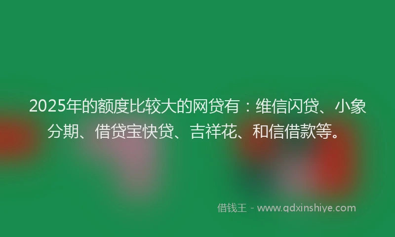 2025年的额度比较大的网贷有：维信闪贷、小象分期、借贷宝快贷、吉祥花、和信借款等。