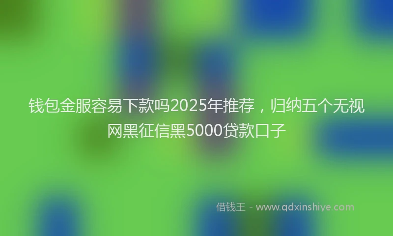 钱包金服容易下款吗2025年推荐，归纳五个无视网黑征信黑5000贷款口子