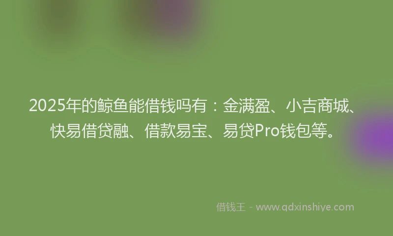 2025年的鲸鱼能借钱吗有：金满盈、小吉商城、快易借贷融、借款易宝、易贷Pro钱包等。