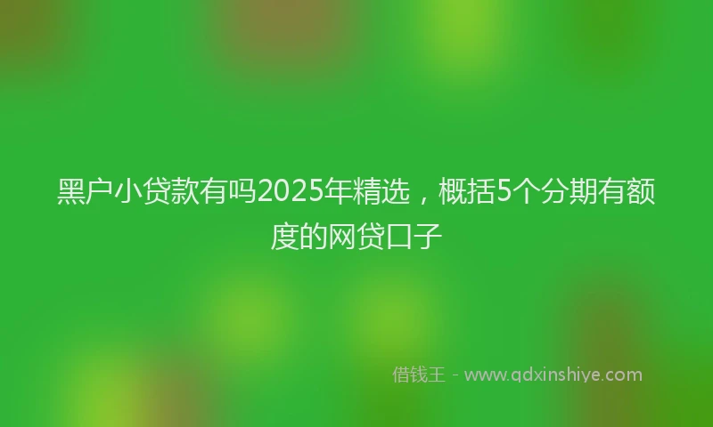 黑户小贷款有吗2025年精选，概括5个分期有额度的网贷口子