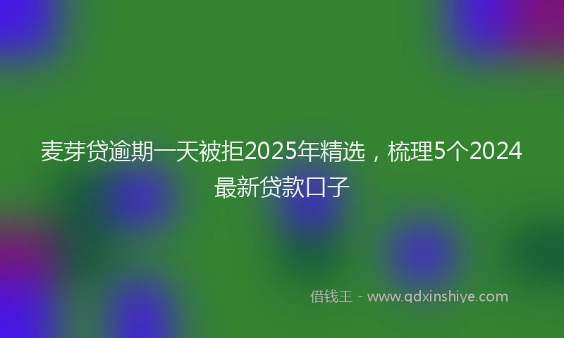 麦芽贷逾期一天被拒2025年精选，梳理5个2024最新贷款口子