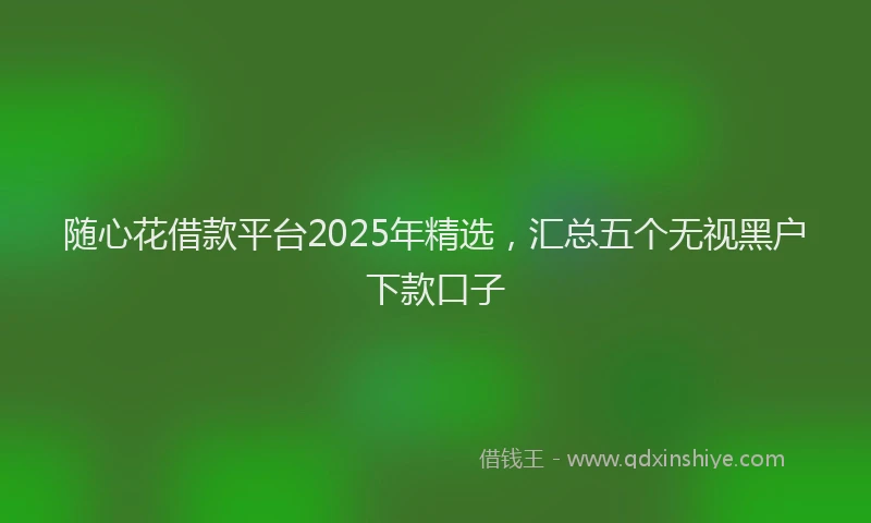 随心花借款平台2025年精选，汇总五个无视黑户下款口子