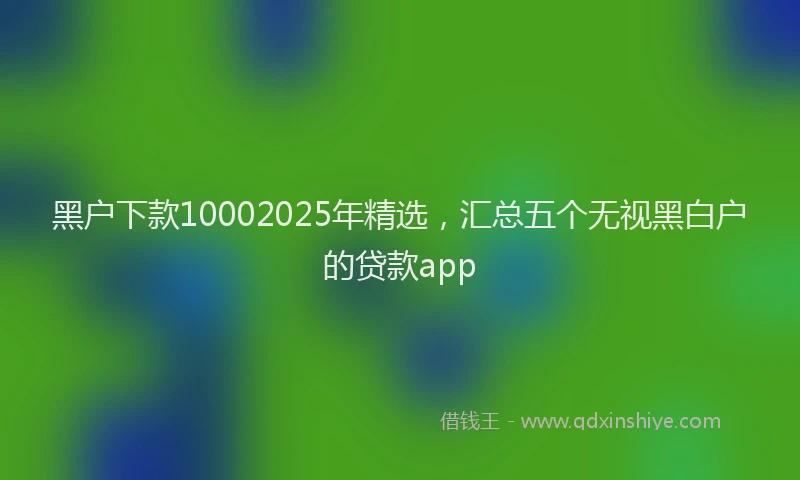 黑户下款10002025年精选，汇总五个无视黑白户的贷款app