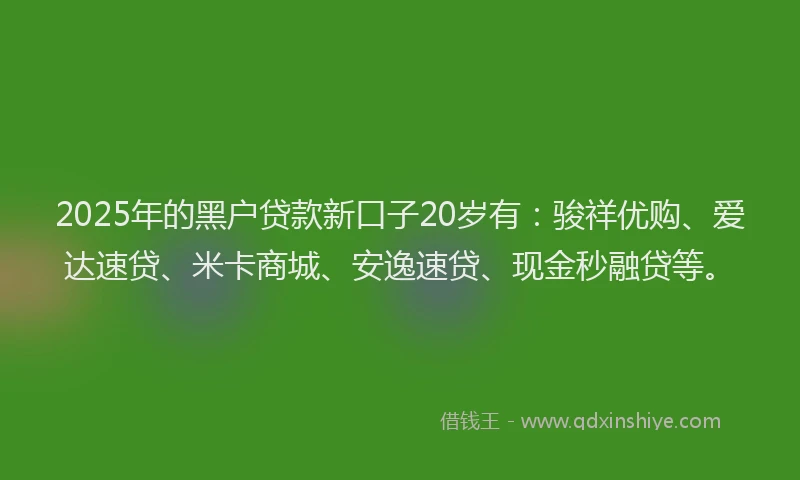 2025年的黑户贷款新口子20岁有：骏祥优购、爱达速贷、米卡商城、安逸速贷、现金秒融贷等。
