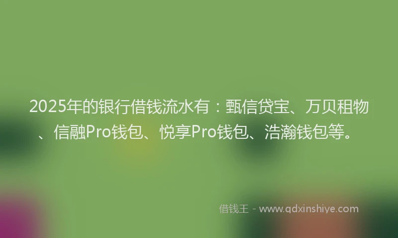 2025年的银行借钱流水有：甄信贷宝、万贝租物、信融Pro钱包、悦享Pro钱包、浩瀚钱包等。