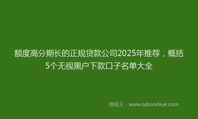 额度高分期长的正规贷款公司2025年推荐，概括5个无视黑户下款口子名单大全