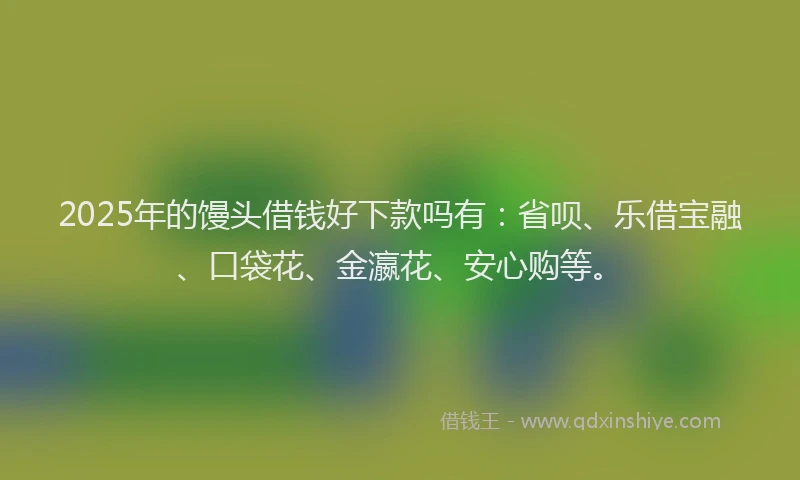 2025年的馒头借钱好下款吗有：省呗、乐借宝融、口袋花、金瀛花、安心购等。
