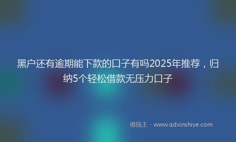 黑户还有逾期能下款的口子有吗2025年推荐，归纳5个轻松借款无压力口子