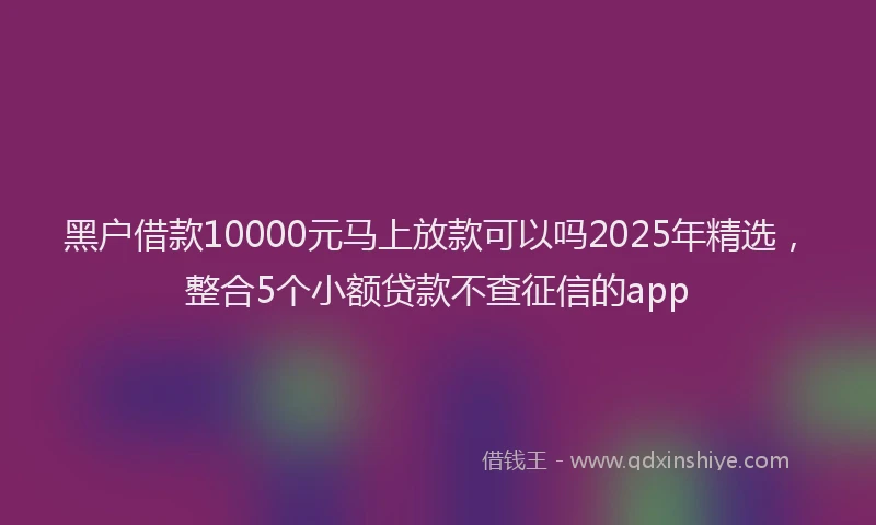黑户借款10000元马上放款可以吗2025年精选，整合5个小额贷款不查征信的app