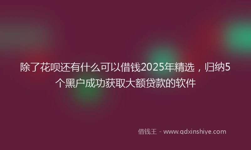 除了花呗还有什么可以借钱2025年精选，归纳5个黑户成功获取大额贷款的软件