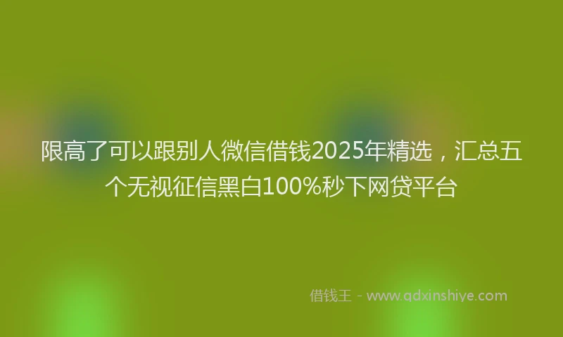 限高了可以跟别人微信借钱2025年精选，汇总五个无视征信黑白100%秒下网贷平台