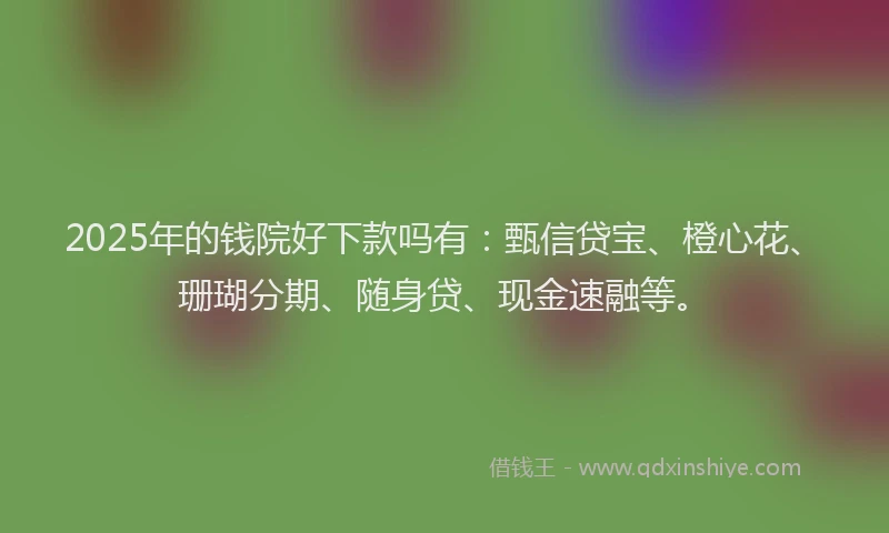 2025年的钱院好下款吗有：甄信贷宝、橙心花、珊瑚分期、随身贷、现金速融等。