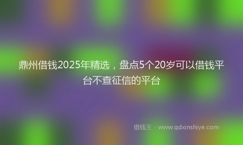 鼎州借钱2025年精选，盘点5个20岁可以借钱平台不查征信的平台