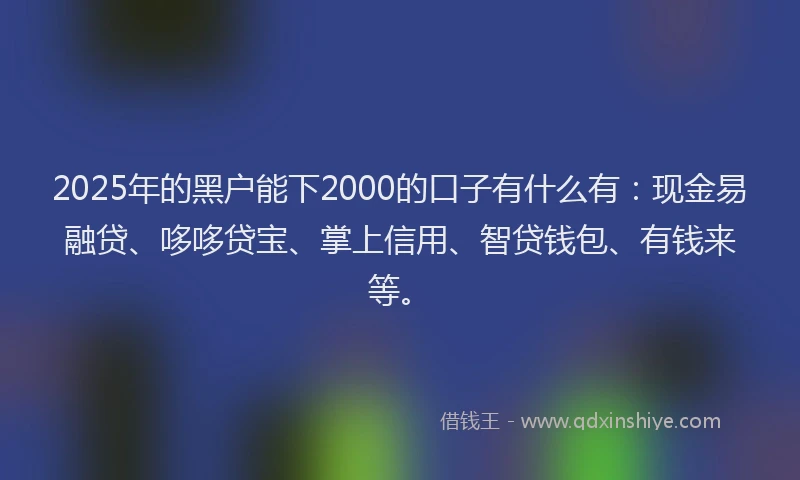 2025年的黑户能下2000的口子有什么有：现金易融贷、哆哆贷宝、掌上信用、智贷钱包、有钱来等。