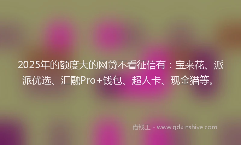 2025年的额度大的网贷不看征信有：宝来花、派派优选、汇融Pro+钱包、超人卡、现金猫等。