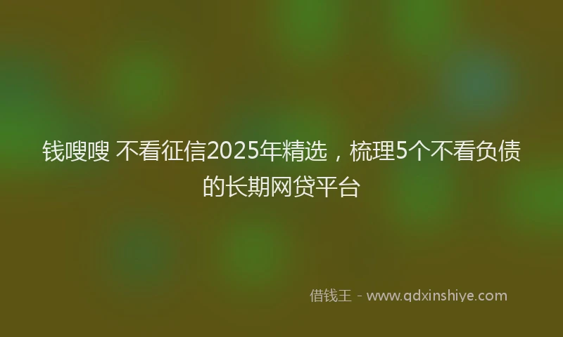 钱嗖嗖 不看征信2025年精选，梳理5个不看负债的长期网贷平台