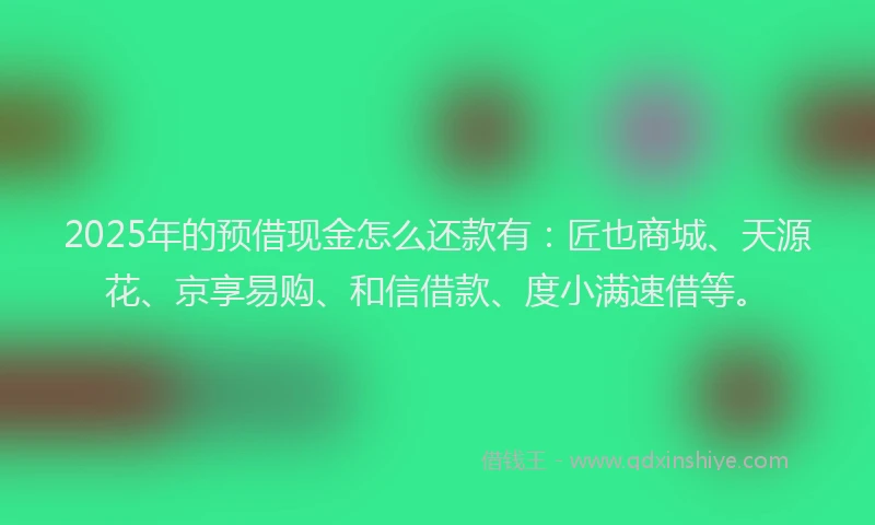 2025年的预借现金怎么还款有：匠也商城、天源花、京享易购、和信借款、度小满速借等。