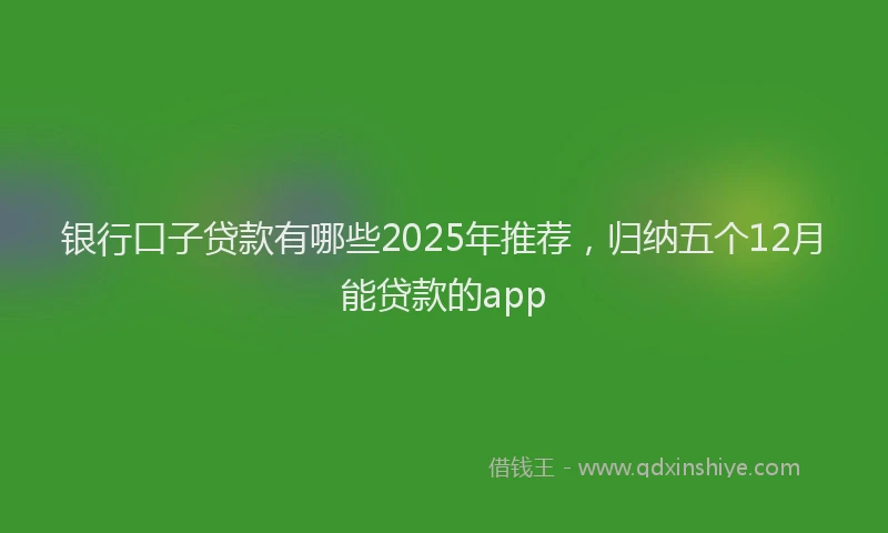银行口子贷款有哪些2025年推荐，归纳五个12月能贷款的app