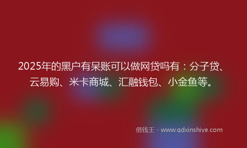 2025年的黑户有呆账可以做网贷吗有：分子贷、云易购、米卡商城、汇融钱包、小金鱼等。