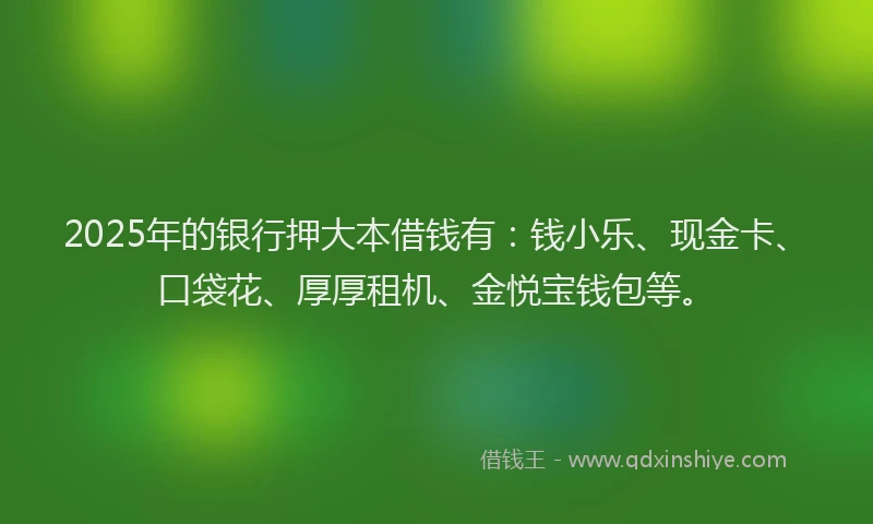2025年的银行押大本借钱有：钱小乐、现金卡、口袋花、厚厚租机、金悦宝钱包等。