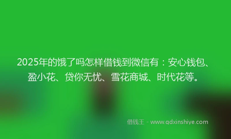2025年的饿了吗怎样借钱到微信有：安心钱包、盈小花、贷你无忧、雪花商城、时代花等。