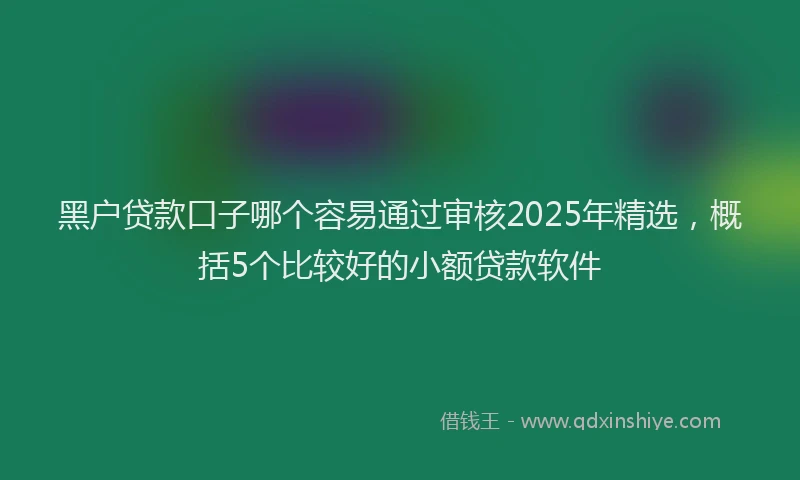 黑户贷款口子哪个容易通过审核2025年精选，概括5个比较好的小额贷款软件