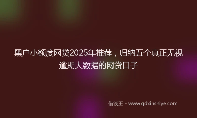 黑户小额度网贷2025年推荐，归纳五个真正无视逾期大数据的网贷口子