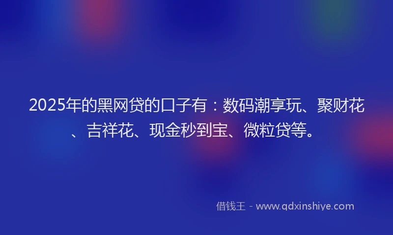 2025年的黑网贷的口子有：数码潮享玩、聚财花、吉祥花、现金秒到宝、微粒贷等。