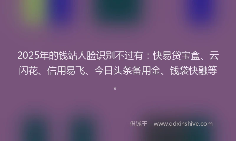 2025年的钱站人脸识别不过有：快易贷宝盒、云闪花、信用易飞、今日头条备用金、钱袋快融等。