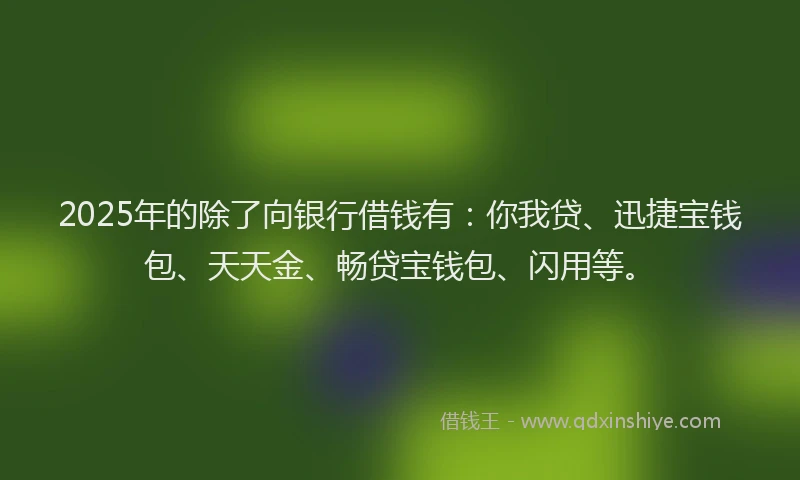 2025年的除了向银行借钱有：你我贷、迅捷宝钱包、天天金、畅贷宝钱包、闪用等。