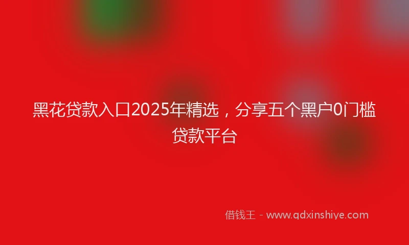 黑花贷款入口2025年精选，分享五个黑户0门槛贷款平台