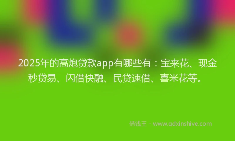 2025年的高炮贷款app有哪些有：宝来花、现金秒贷易、闪借快融、民贷速借、喜米花等。